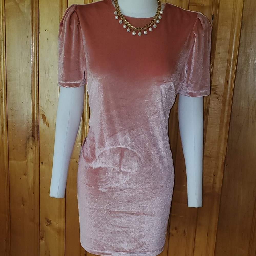 Pink velvet dress❣